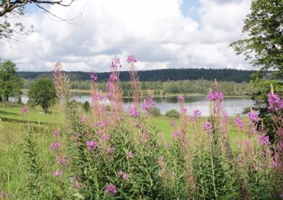 Chapelle-des-Bois en été